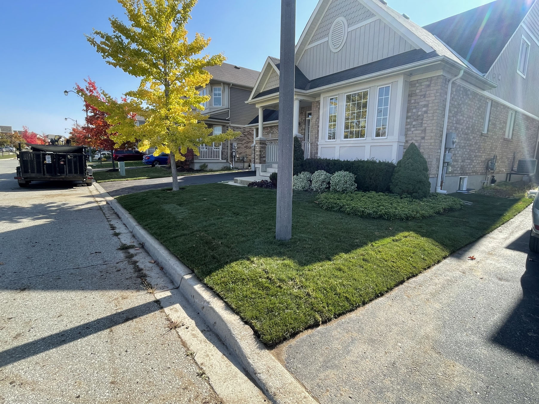 Finished Sod Installation Process